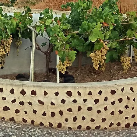 Skarmoutsos Apartmán